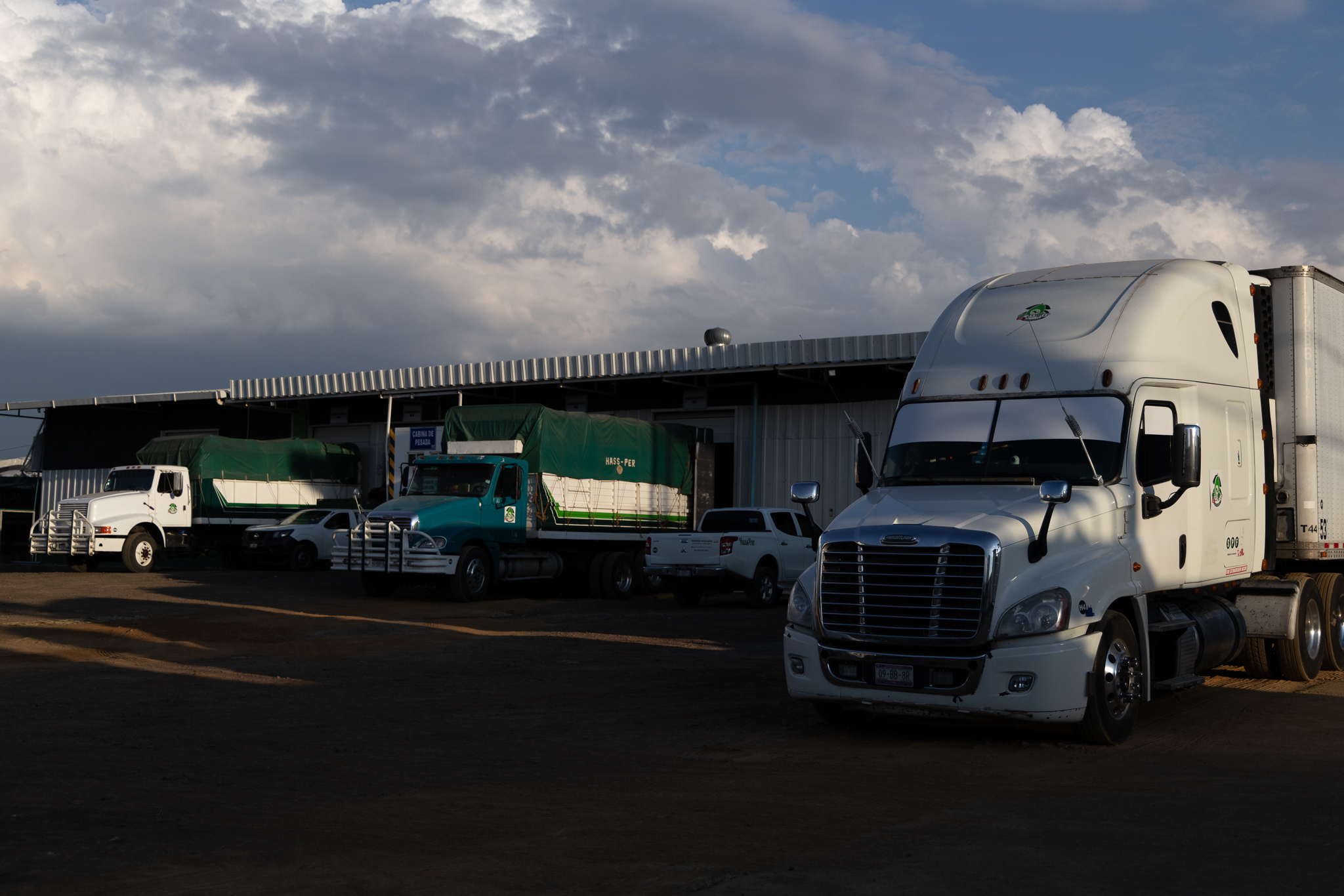 Exportación